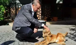 Cumhurbaşkanı Erdoğan: “Milletimiz bizden bu sorunu çözmemizi istiyor”