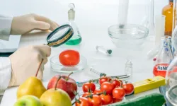 Türkiye’de gıda zehirlenmeleri artışta