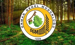 Orman Genel Müdürlüğü'nün yapay zekasına BM'den 'Çevre' ödülü