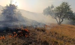 Edirne'de örtü yangını üç köye sıçradı!