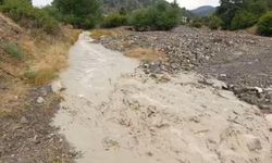 Bolu'da sağanak yağmur dereleri taşırdı