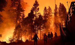ABD'de orman yangını:139 bin dönümlük alan yandı