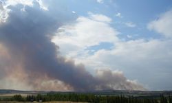 Bulgaristan'daki yangın Edirne sınırına ilerliyor!