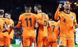 UEFA Uluslar Ligi | Hollanda - Bosna Hersek maç özeti