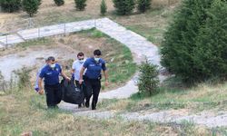 Kocaeli'de kayıp kadın aranırken çürümüş ceset bulundu