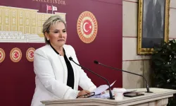 İstanbul Milletvekili Nimet Özdemir, İYİ Parti'den istifa etti