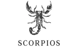 Sanat platformu Scorpios yeni sanat programını duyurdu!