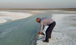 Uçarken çiftliğe düşen yavru flamingo Tuz Gölü’ne bırakıldı