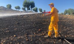 Adıyaman'da 40 hektar alan küle döndü