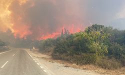 Eceabat'taki orman yangını rüzgarın etkisiyle büyümeye devam ediyor