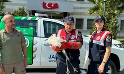 Cami minaresinde mahsur kalan yaralı leylek itfaiye ekiplerince kurtarıldı