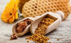 Salgın hastalıklara karşı bağışıklık güçlendirmek için propolis tavsiyesi