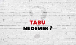 Tabu ne demek? TDK Tabu ne anlama gelir?