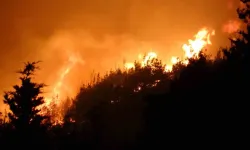 Çanakkale Eceabat’ta orman yangını!