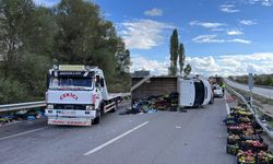 Devrilen kamyonetteki elmalar yola saçıldı