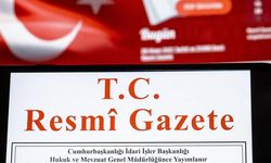 Mülkiye başmüfettişi nedir, görevleri neler?