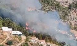 Alanya'da orman yangını çıktı!