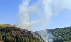 Hatay’da orman yangını