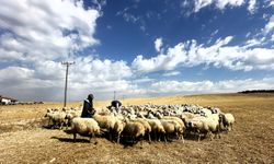 Malatya'da Yaylacılar Dönüş Yolunda