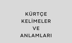 Kürtçe kelimeler ve anlamları