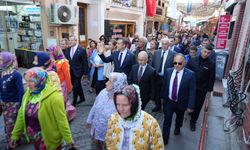 “19. Ayvalık Uluslararası Zeytin Hasat Festivali” başladı