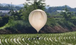 Güney Kore: Kuzey Kore, çöp taşıyan 40 balon gönderildi