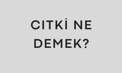 Cıtki ne demek? Cıtkı Türkçe ve Kürtçe anlamı