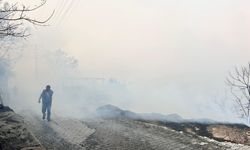 Hatay’da orman yangını!