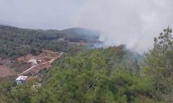 Hatay'da orman yangını