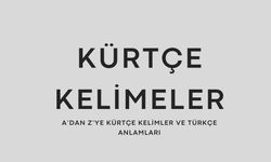 A’dan Z’ye Kürtçe kelimeler ve Türkçe anlamları