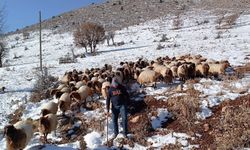 Malatya’da soğuk hava hayvancılığı zorluyor