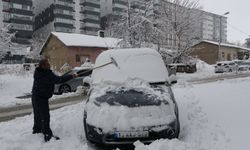 Bitlis'te etkili olan kar yağışı yolları ulaşıma kapattı