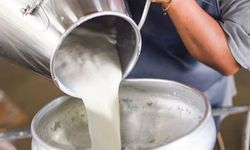 Ulusal Süt Konseyi çiğ süt fiyatını güncelledi