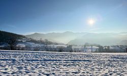 Kar ve sisin buluştuğu Ilgaz Dağı mest etti