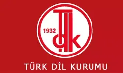 2024'ün kelimesi oylamaya sunuldu! Katılım TDK sitesinde!