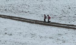 Van-Bahçesaray yolu kar nedeniyle trafiğe kapatıldı