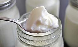 Fermente gıdalar ve proteinli içecekler 2026’ya damga vuracak