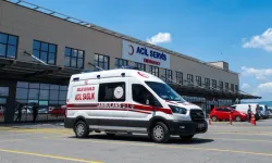 Hayvan otlatırken yıldırımın hedefi oldu