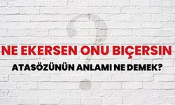 Ne ekersen, onu biçersin atasözü ne anlama geliyor?