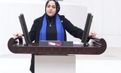 Sema Silkin Ün: Kurulamayan 'ailenin yılı' nasıl olacak?