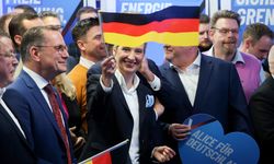 Aşırı sağcı AfD, Alman istihbaratını mahkemeye verdi!