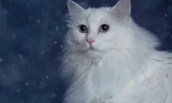 Kahve falında kedi figürü ne anlama gelir?