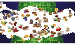 2025’te rekor tescil: 13 yeni ürün AB listesinde