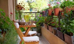 Balkon ve Bahçeye Çiçek Ekmek İçin Altın Tüyolar!