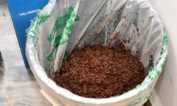 Mamak'ta çay atıkları komposta dönüşüyor!