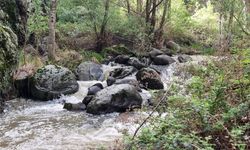 Doğanın kalbinde huzur arayanlara: Kızılcahamam Kral Havuzu