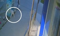Çerkezköy’de 5. kattan düşen bebek ağır yaralandı