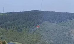 Sultangazi'deki orman yangını korkuttu!