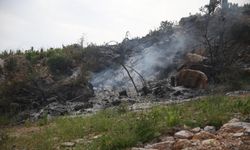 Alanya’da bir haftada dördüncü yangın: Şüpheli gözaltında!