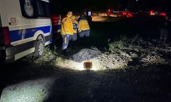 Serinlemek için göle girdi, canından oldu!